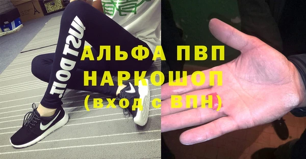 PSILOCYBIN Алзамай
