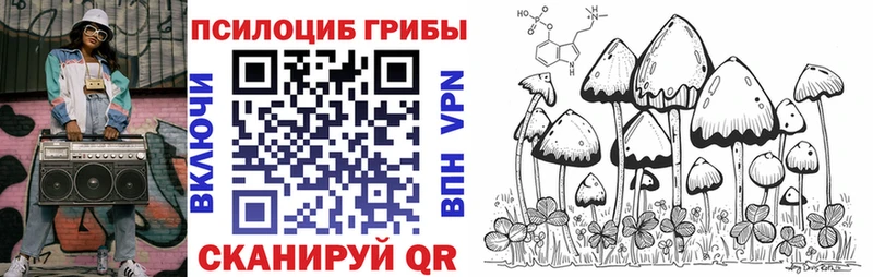 Галлюциногенные грибы прущие грибы  наркошоп  Ардатов 